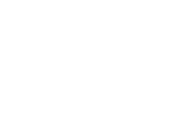 Quale modello è adatto alla tua organizzazione?