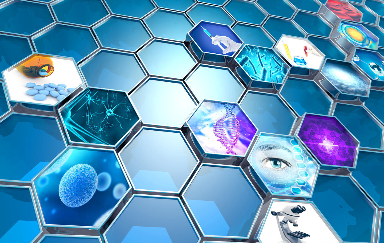A single Administrative Accounting Information System based on the SAP ERP platform
